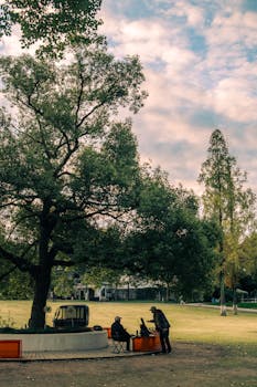 库克在苹果五十周年之际发声；明确否认即将退休说法：每一天都享受工作过程。