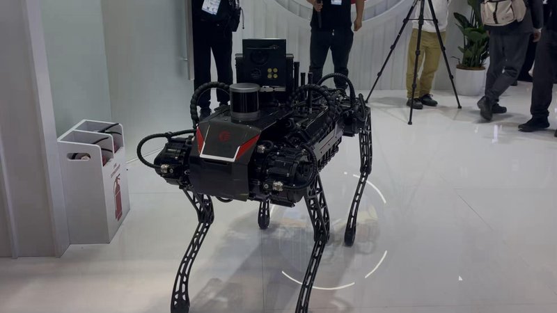  揭秘顶级流量背后的商业逻辑：金鸡影帝的资本版图与流量真相 娱乐新闻