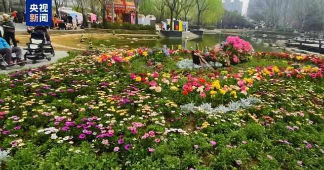  技术驱动下的赏花指南：京津冀赏花地图的数据逻辑与精准服务 文化旅游