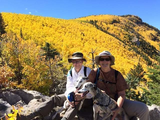 美国空军退役将领失踪事件:UFO机密持有者的系统性风险评估 新闻