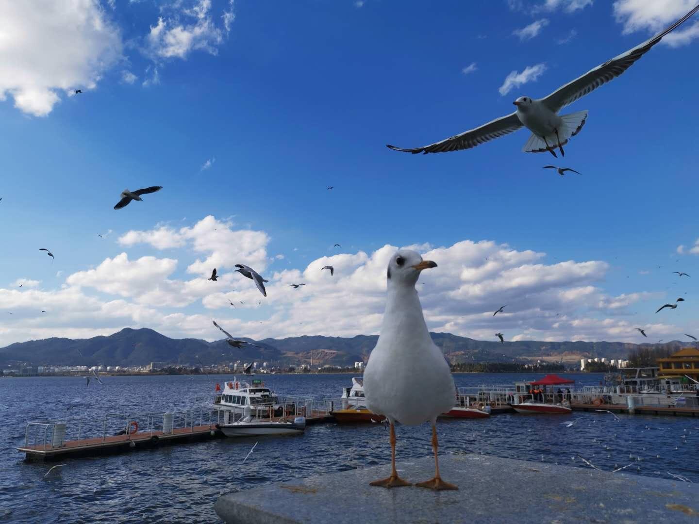  【技术解析】从VAR到主客场双回合：苏超联赛的赛制进化论 体育新闻