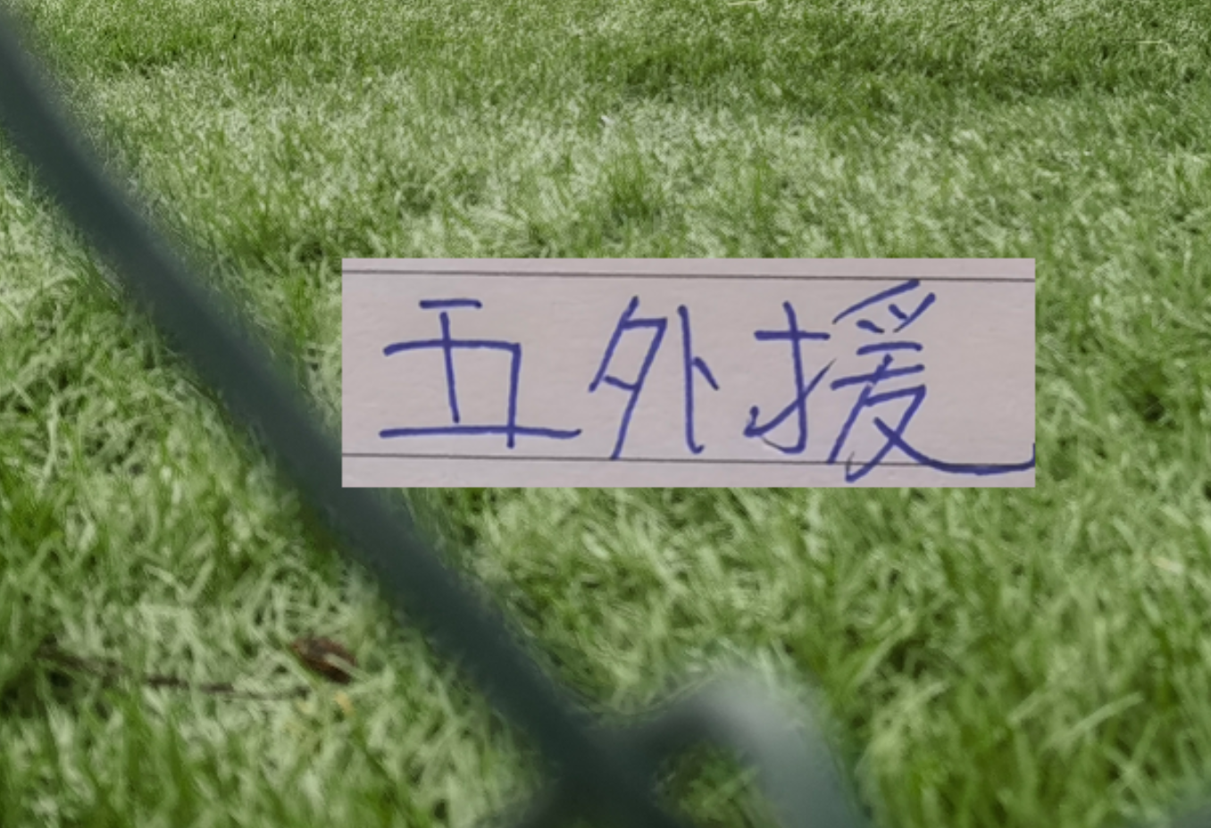 外援困局：战术视角解析上海申花的伤病危机与结构性问题 体育新闻