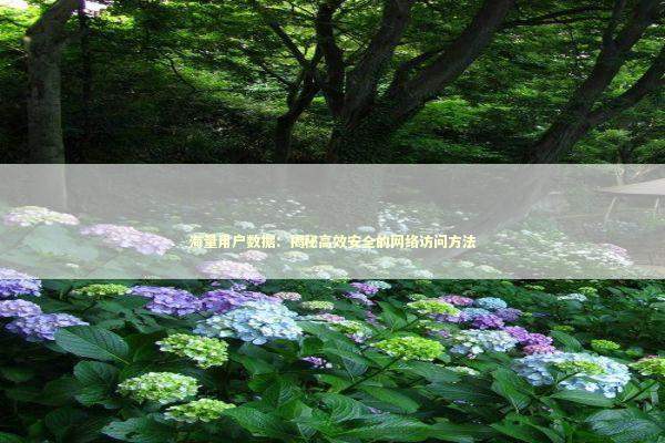 海量用户数据：揭秘高效安全的网络访问方法