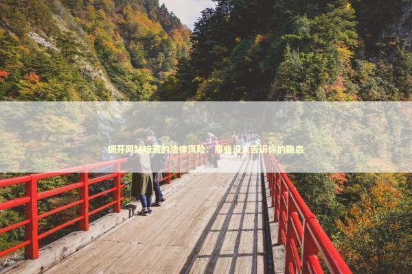揭开网站暗藏的法律风险：那些没人告诉你的隐患 企业服务