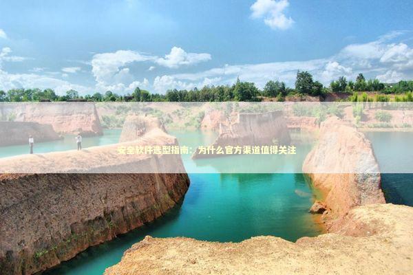 安全软件选型指南：为什么官方渠道值得关注 IT技术