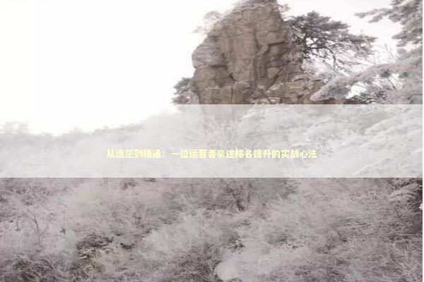 从迷茫到精通：一位运营者亲述排名提升的实战心法 IT技术