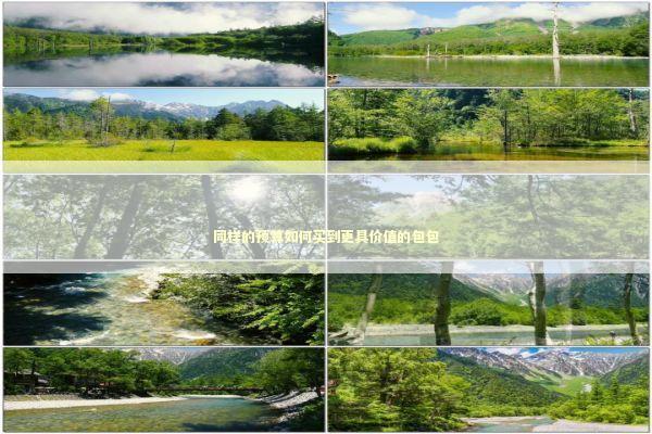 同样的预算如何买到更具价值的包包 时尚用品