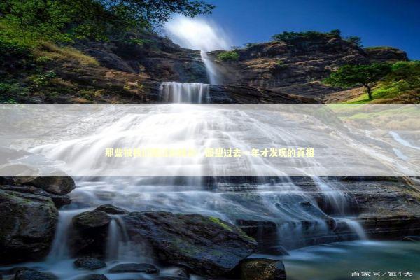 那些被我们错过的精彩：回望过去一年才发现的真相 情感心理