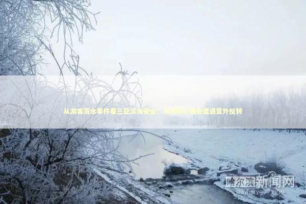 从游客落水事件看三亚滨海安全：为何好心情会遭遇意外反转 新闻